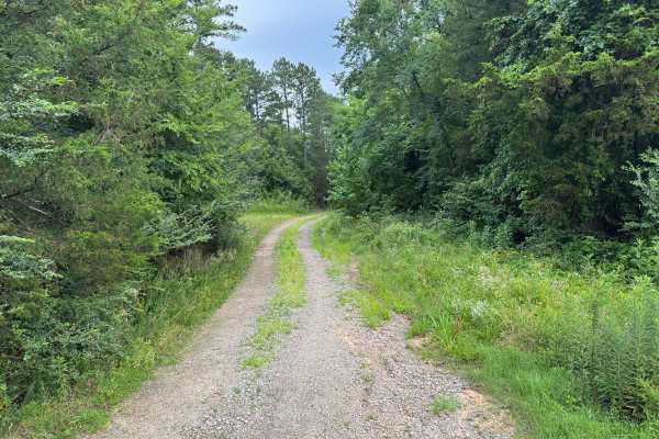 County Road 3380
