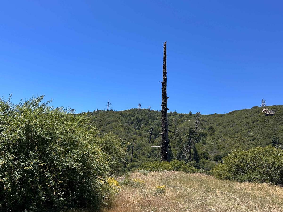 Shale Ridge photo 3