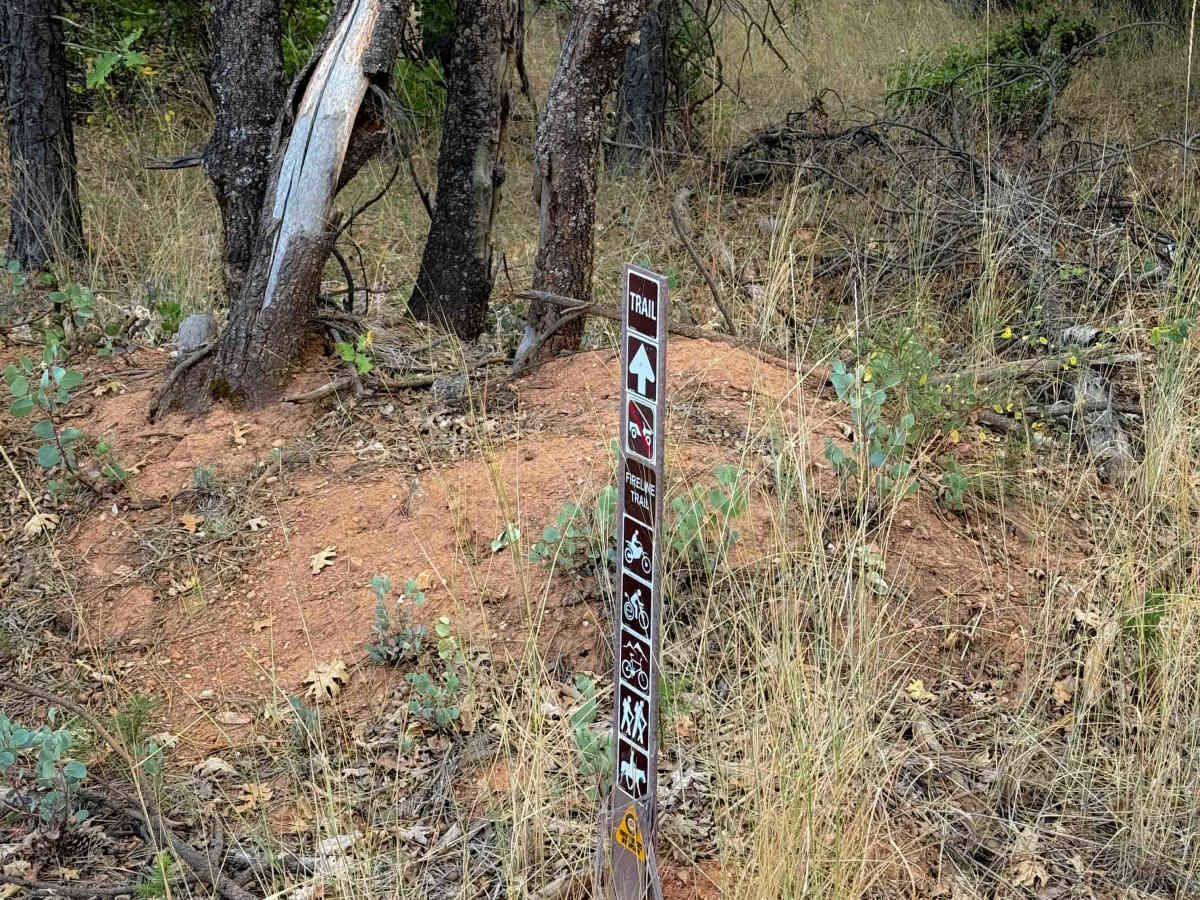 Fireline trail photo