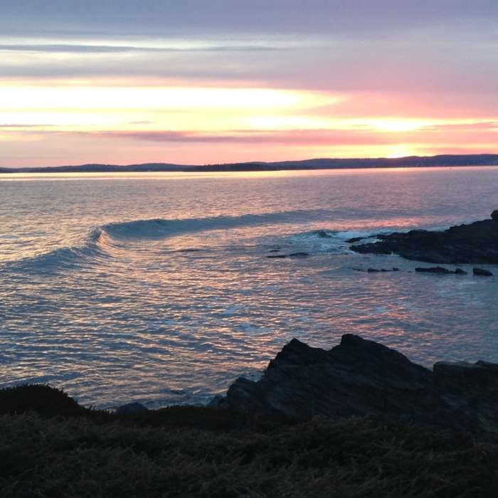 Trail at sunset. Near Gaff Point Trail