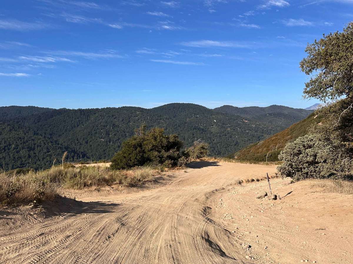 Pilot Rock Connector photo 6