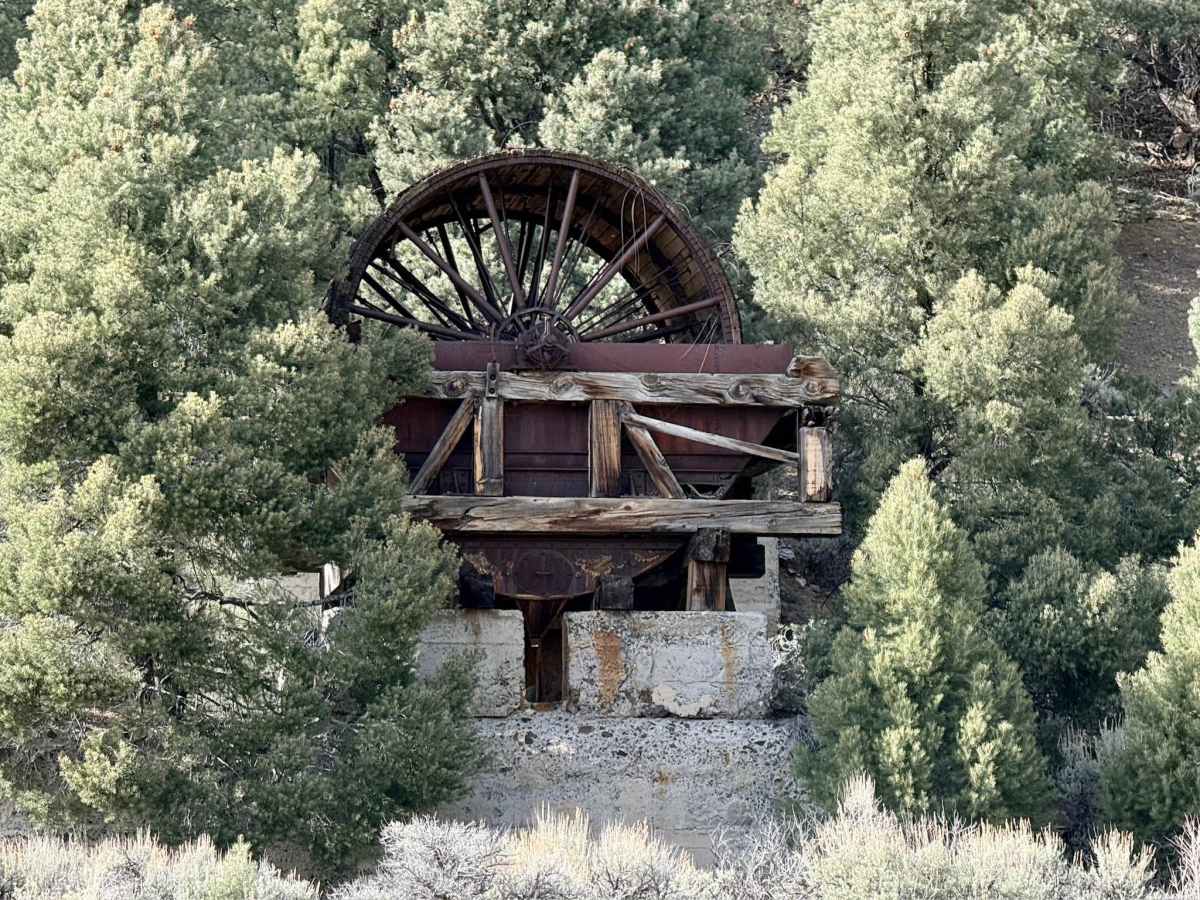 Yankee Blade Loop (FS43184) photo 2