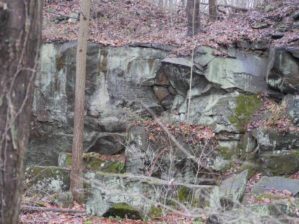 Trail 43 photo 2