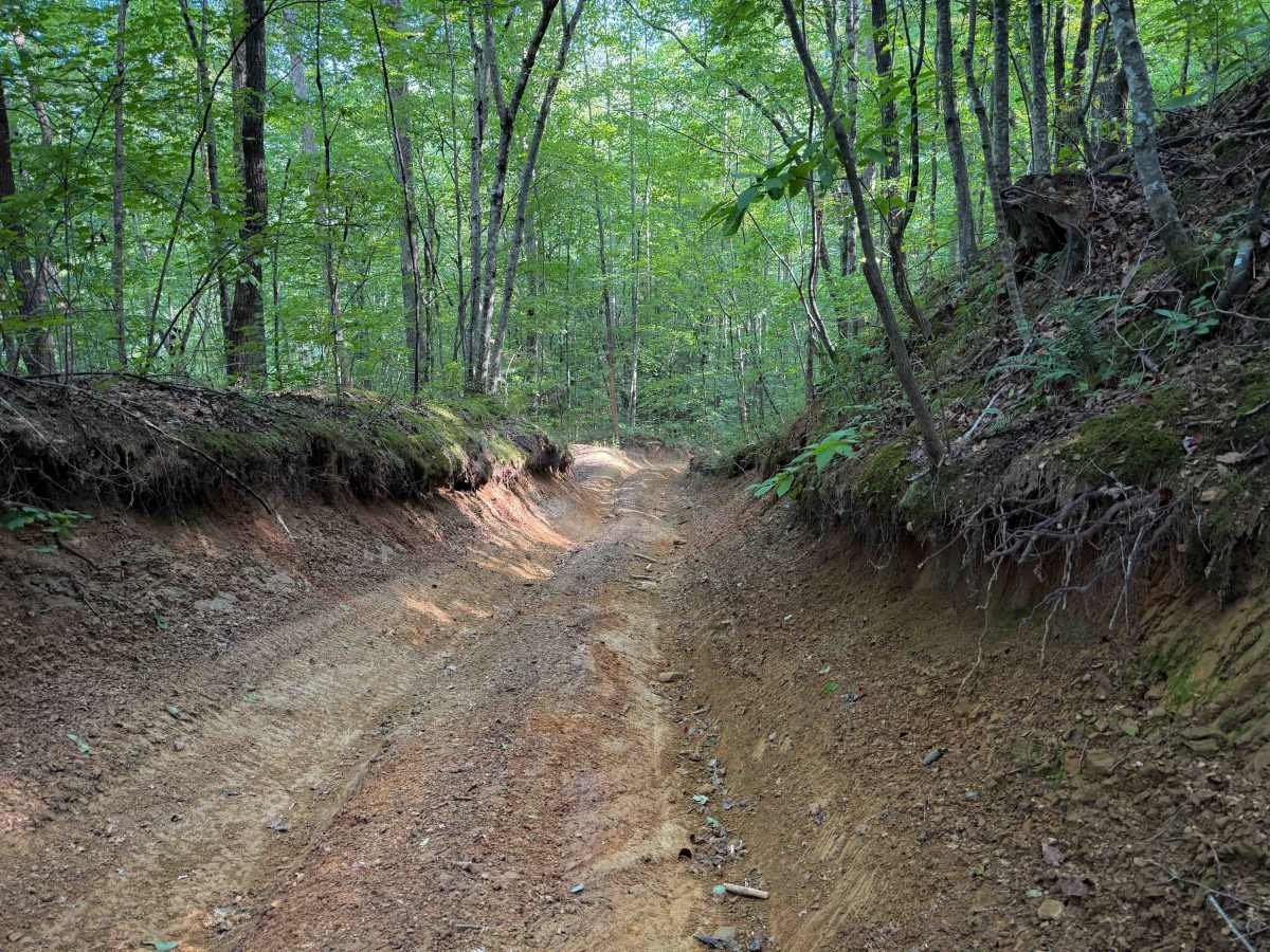 Bowling Branch Trail photo 2