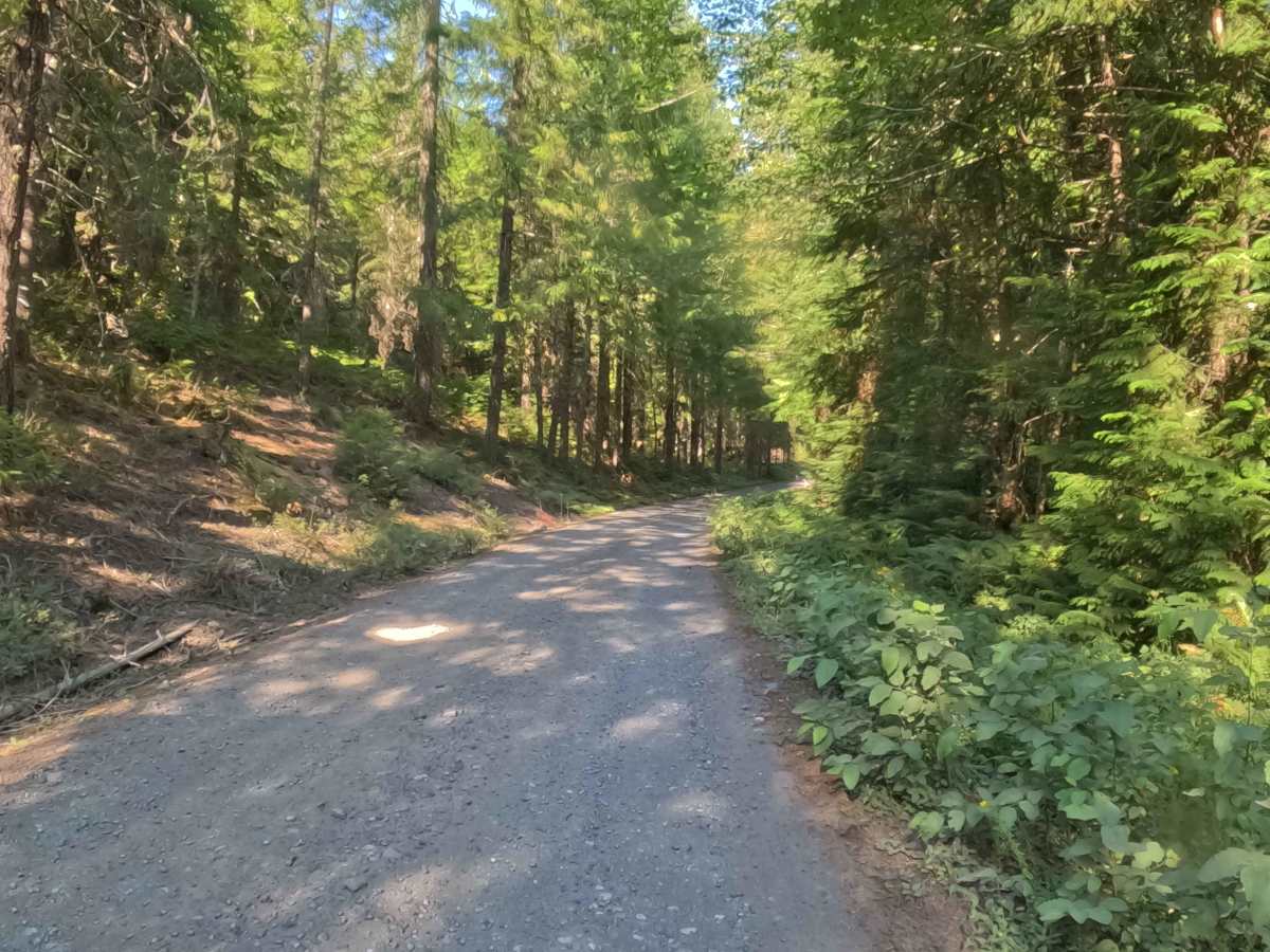 Pamelia Creek - FS 2246000  photo 2