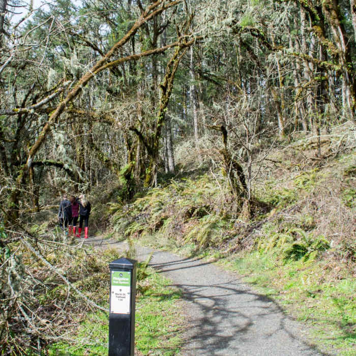 Near Ridgeline Trail System: Fox Hollow Trailhead