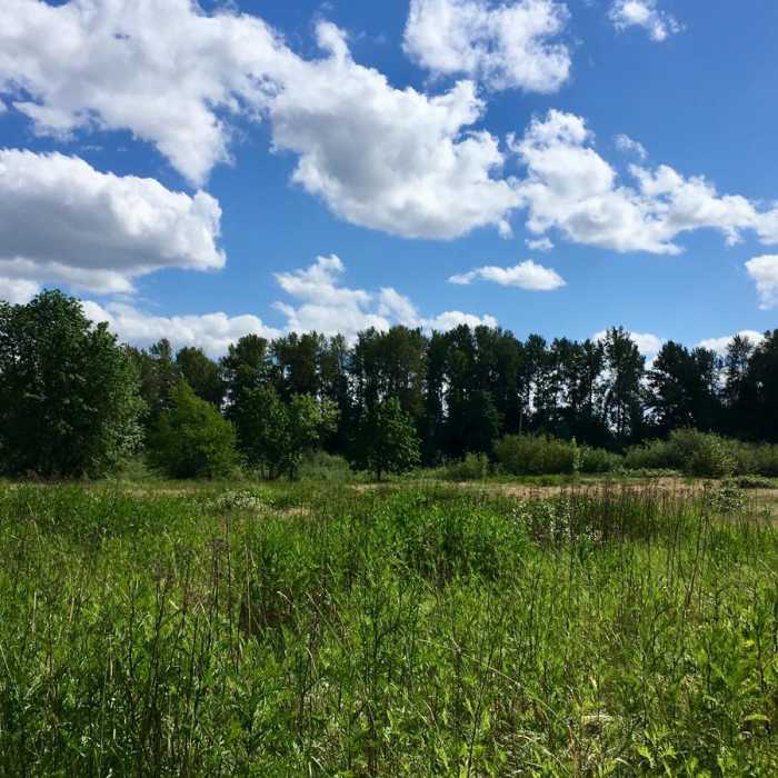 Near Stayton Riverfront Park Loop