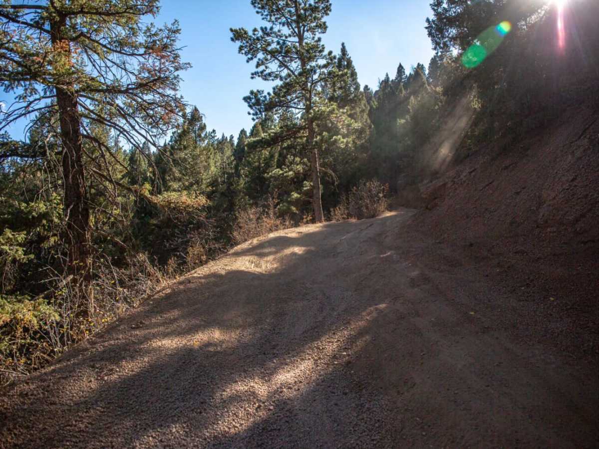 Jackson Creek South/ Watson Park photo 4