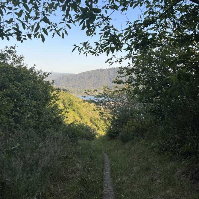 Near Klamath River Overlook