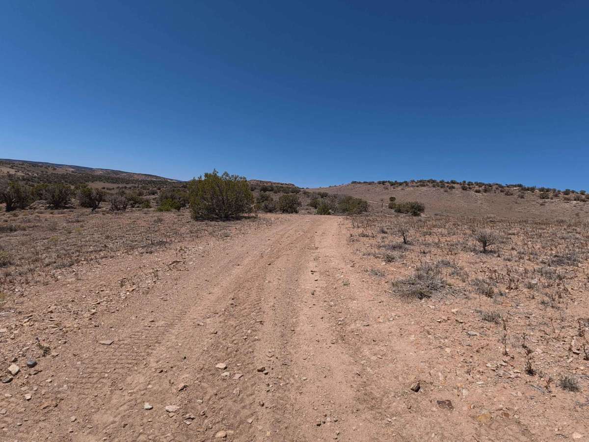 Denca Road photo 4