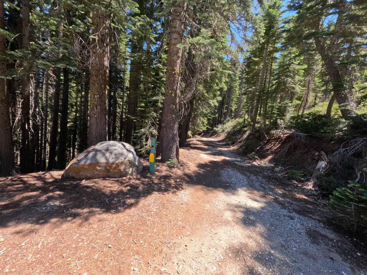 Fir Cap Trail - South Segment - FS 10E22 trail photo