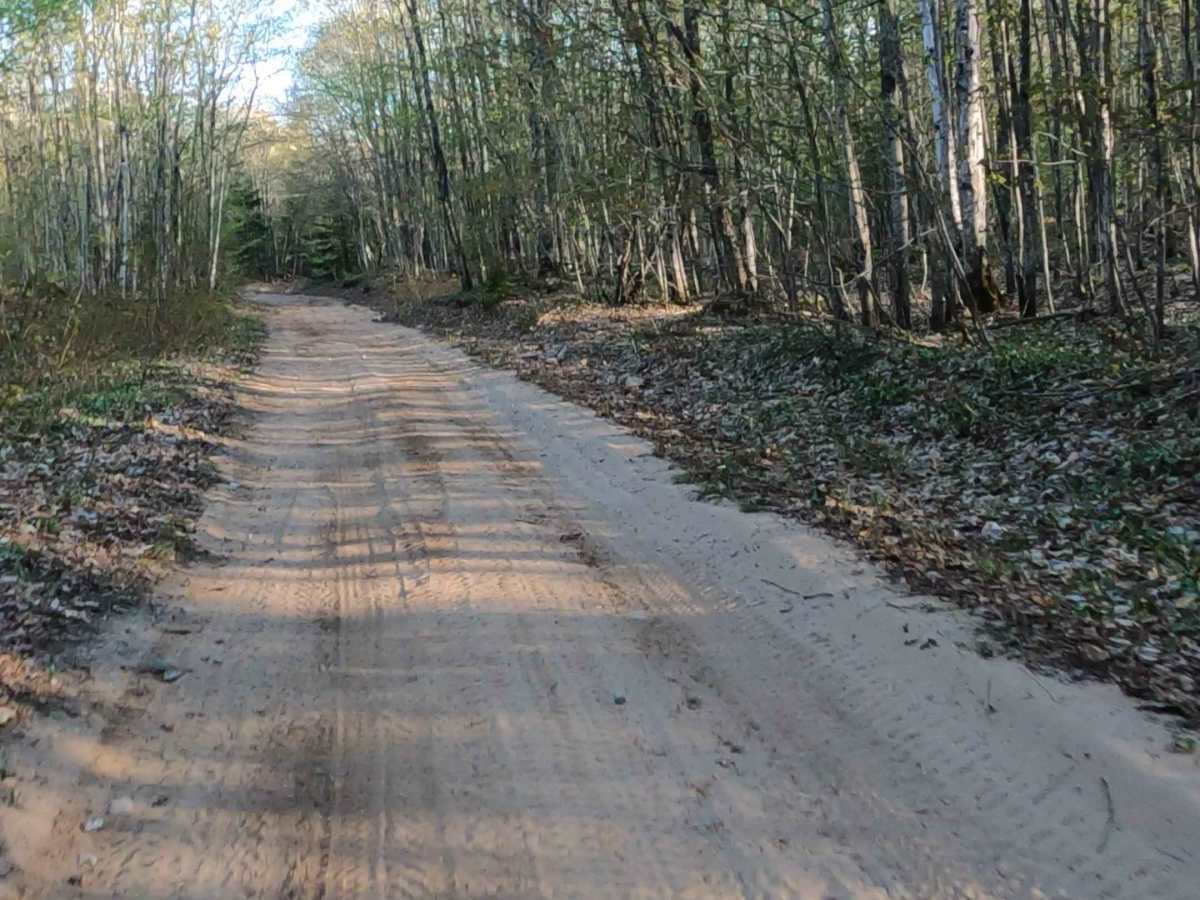North Fox Hound Road photo 3