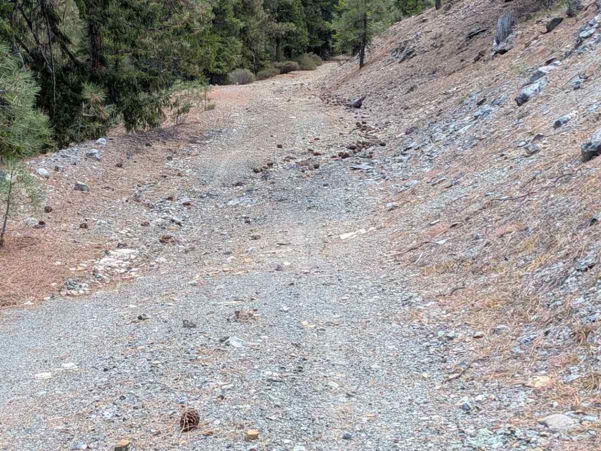 Blue Point Ridge Road - FS 30N28 photo 3