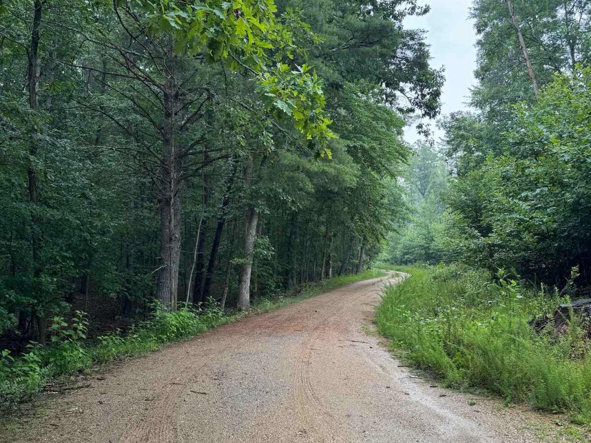 Gilmore Hollow photo 2