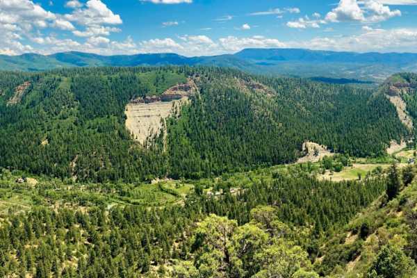 Eight Mile Mesa C-USFS Rd #651C