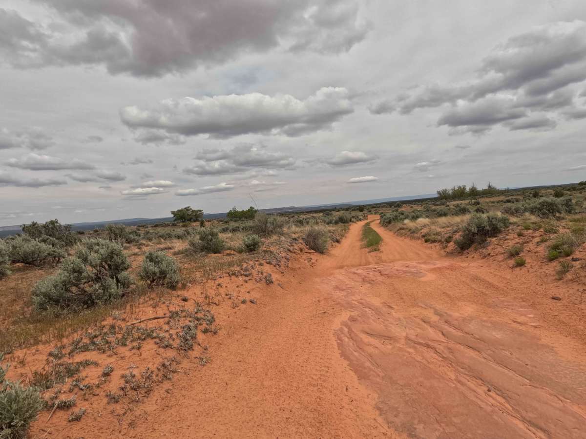 BLM 62 photo 4