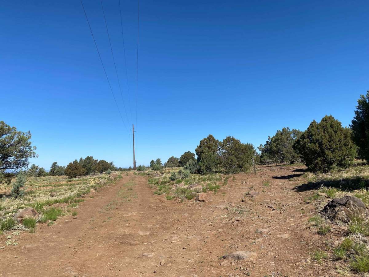 504 to Pole Line photo 3