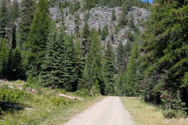 Bald Butte Rd