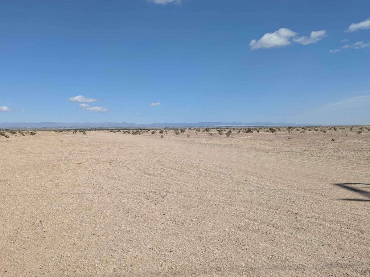BLM 412 photo 5