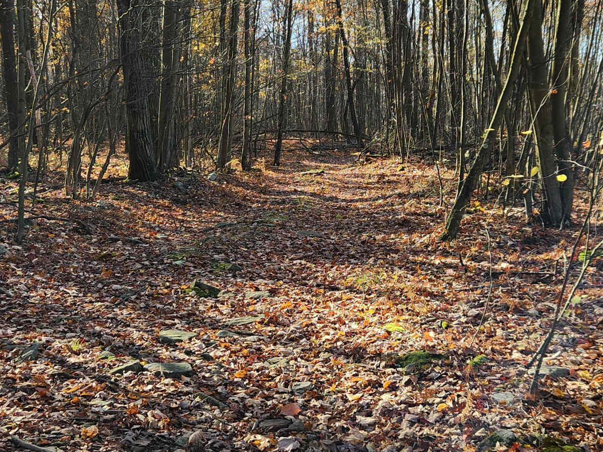 OHV 1 - Rock Run Recreation Area photo 6