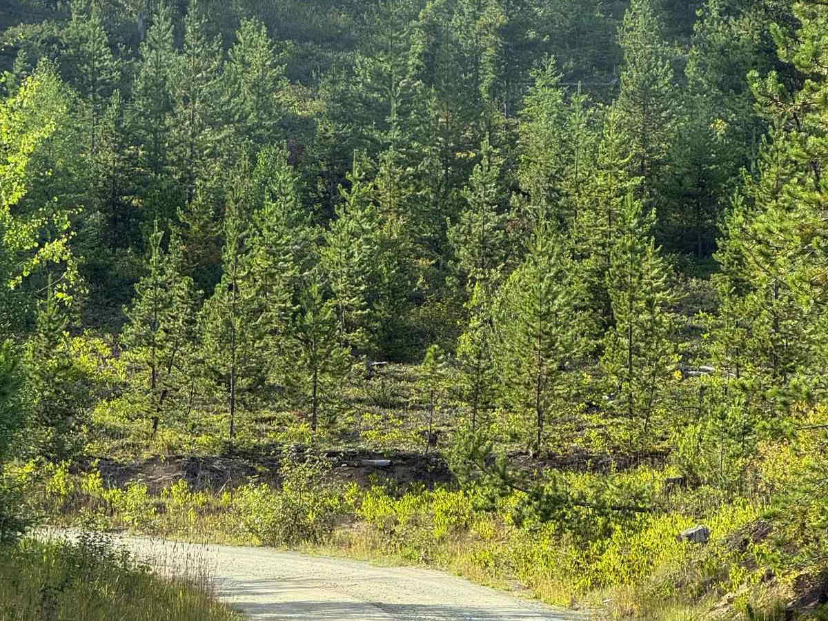 Crystal Lake Trail photo 5