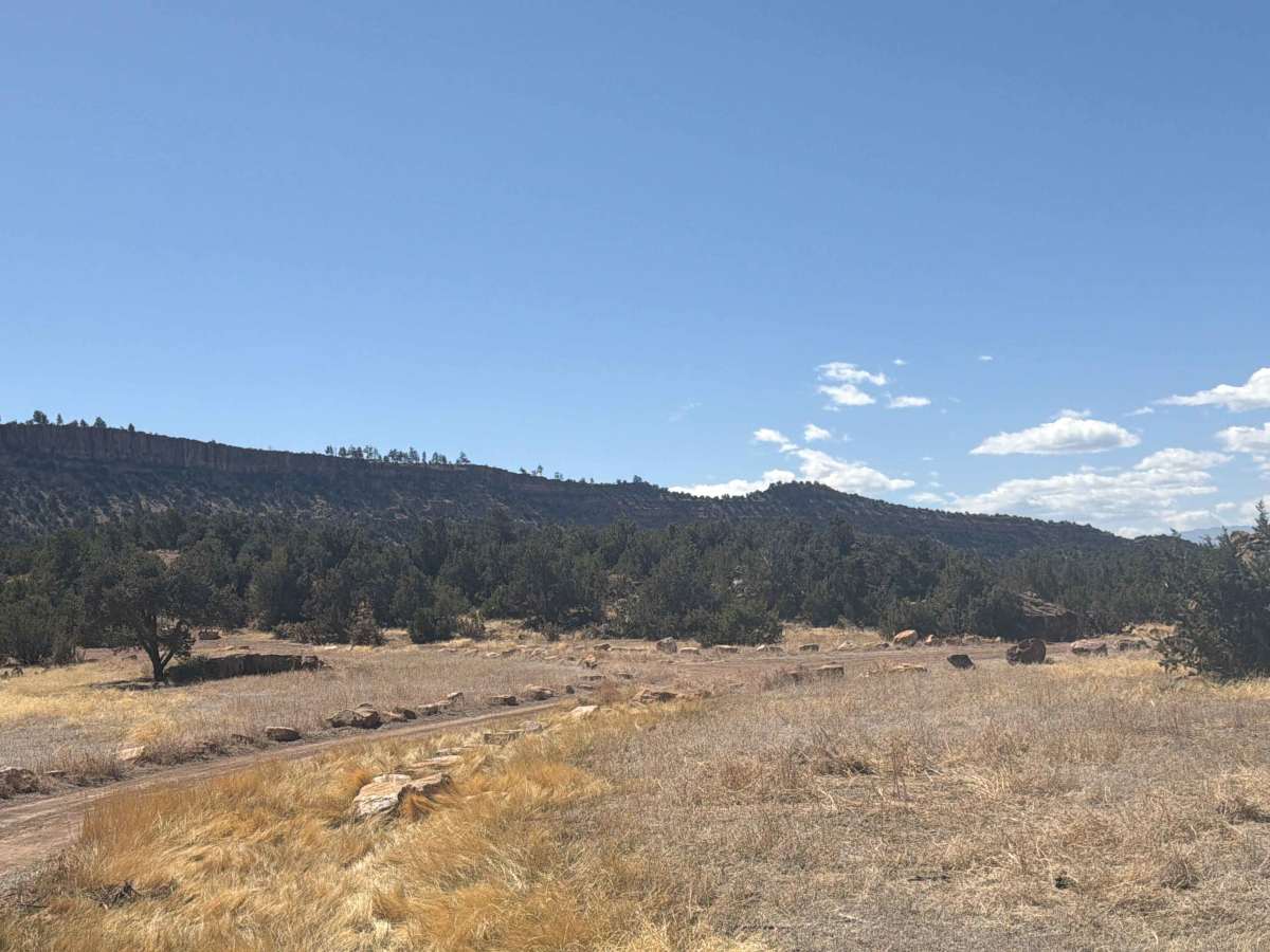 BLM 5941A photo 5