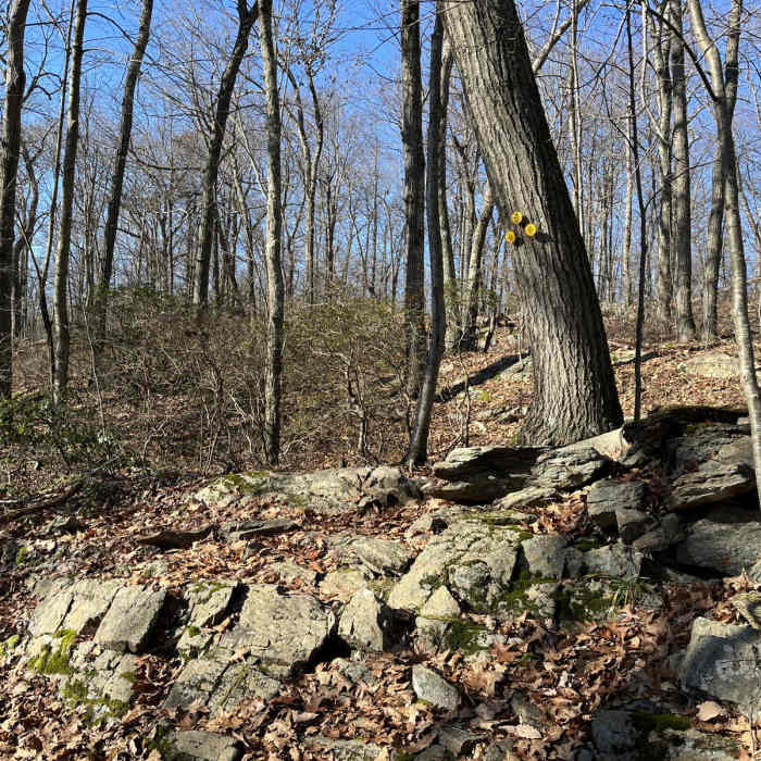 Near Perkins Loop via Appalachian Trail Near Perkins Loop via Appalachian Trail