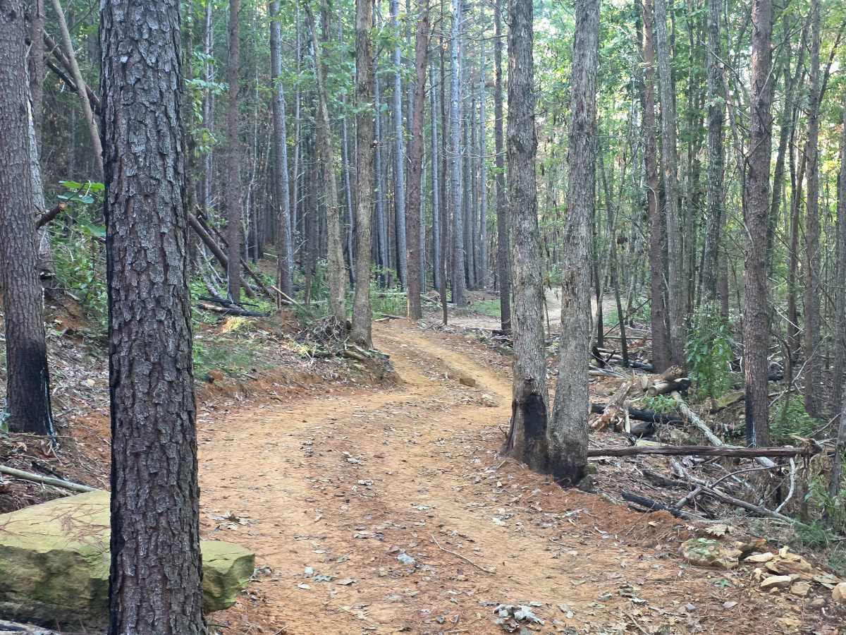 Sink Hole Loop photo 3