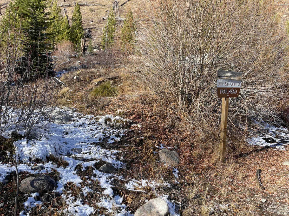 Little Blue Joint trail photo