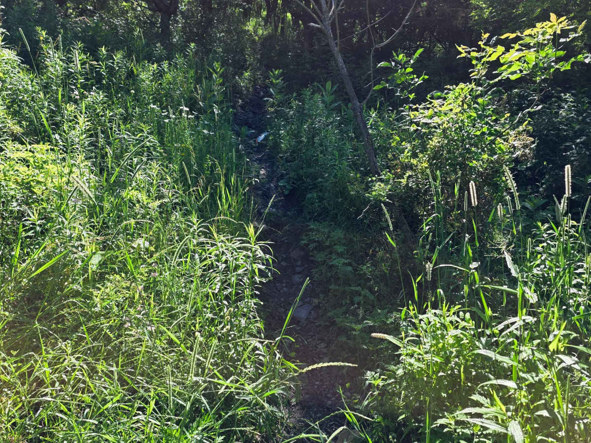 Single Track R photo 5