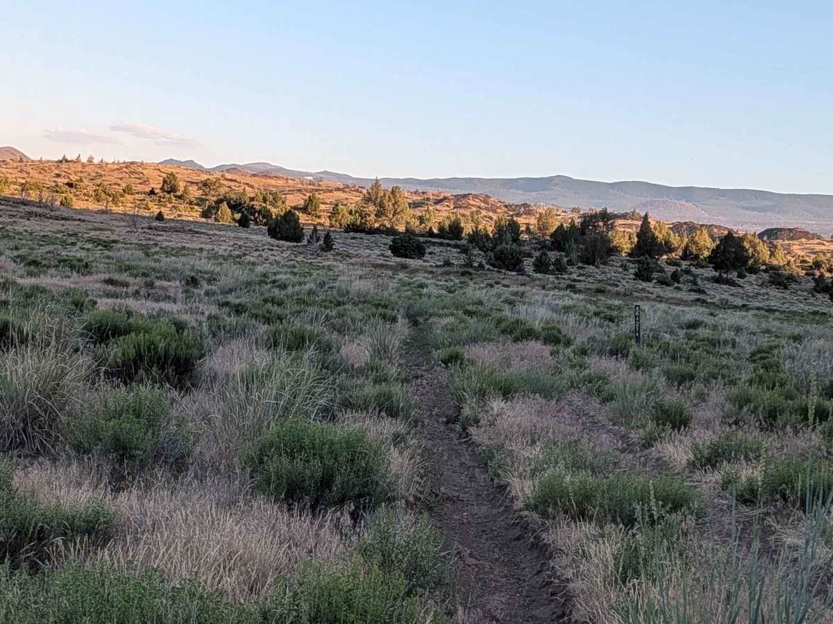 FS 46A21A trail photo