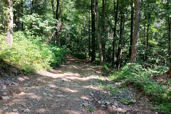 Trail 14D - Rock Run Recreation Area
