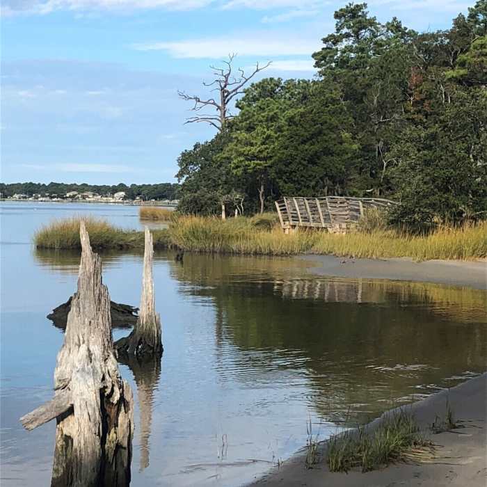 Osprey Trail along the beach on Broad Bay. Near Narrows-Long Creek-Osprey 10k Loop