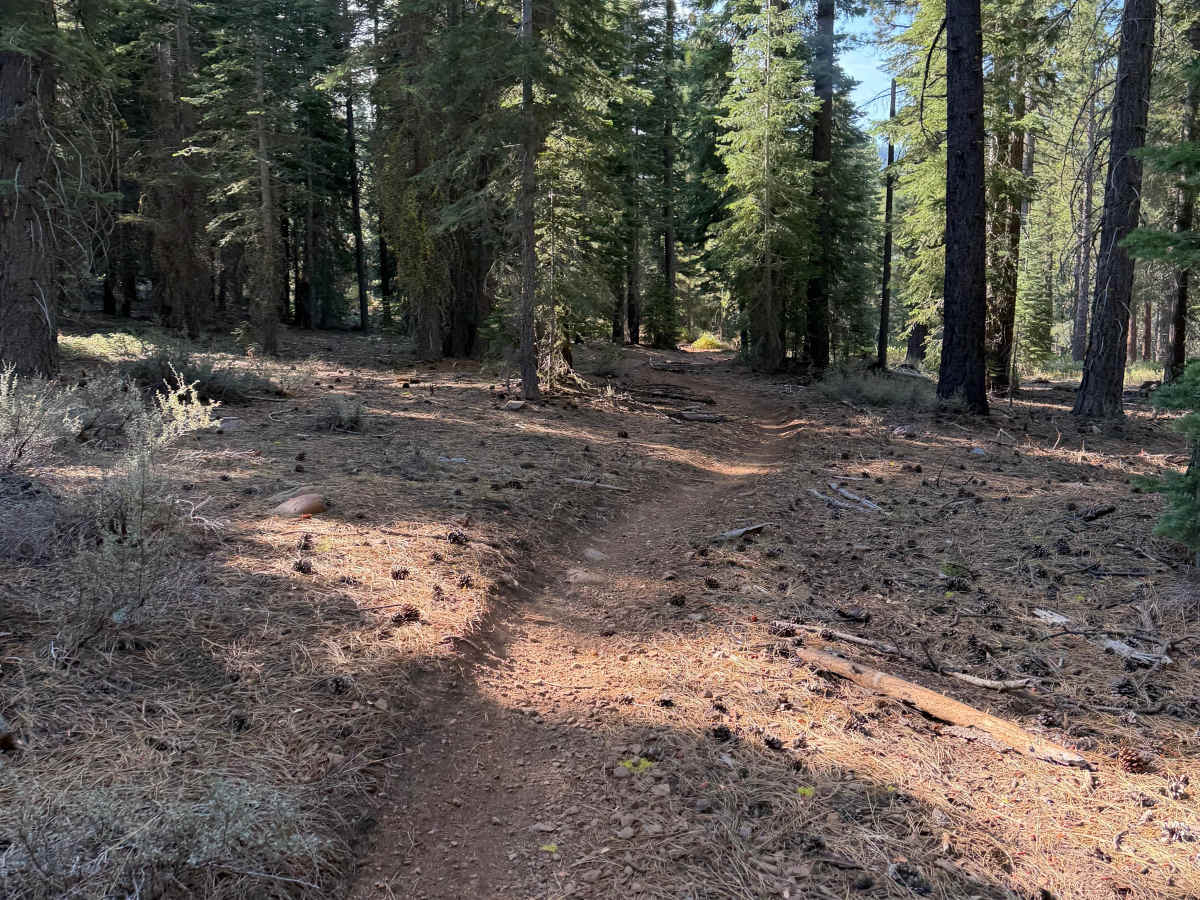 Boulder Dash photo 3