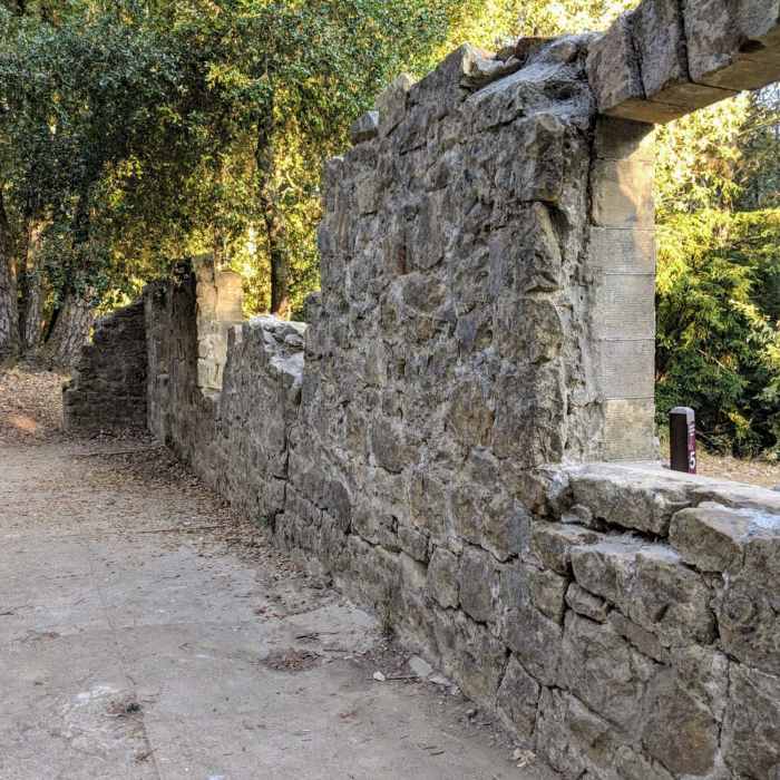 Near Upper Miller Trail