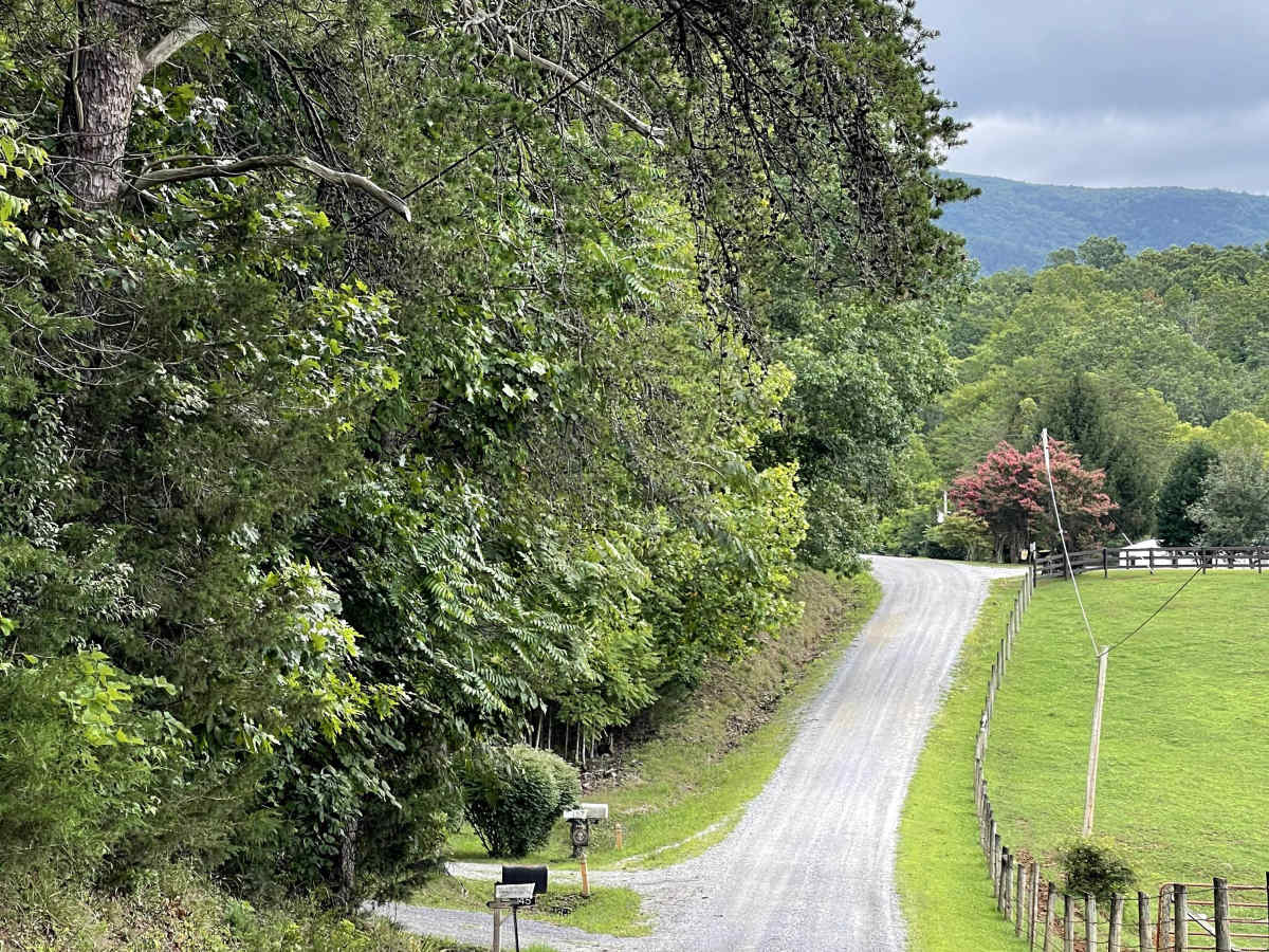 Allen Branch Road trail photo