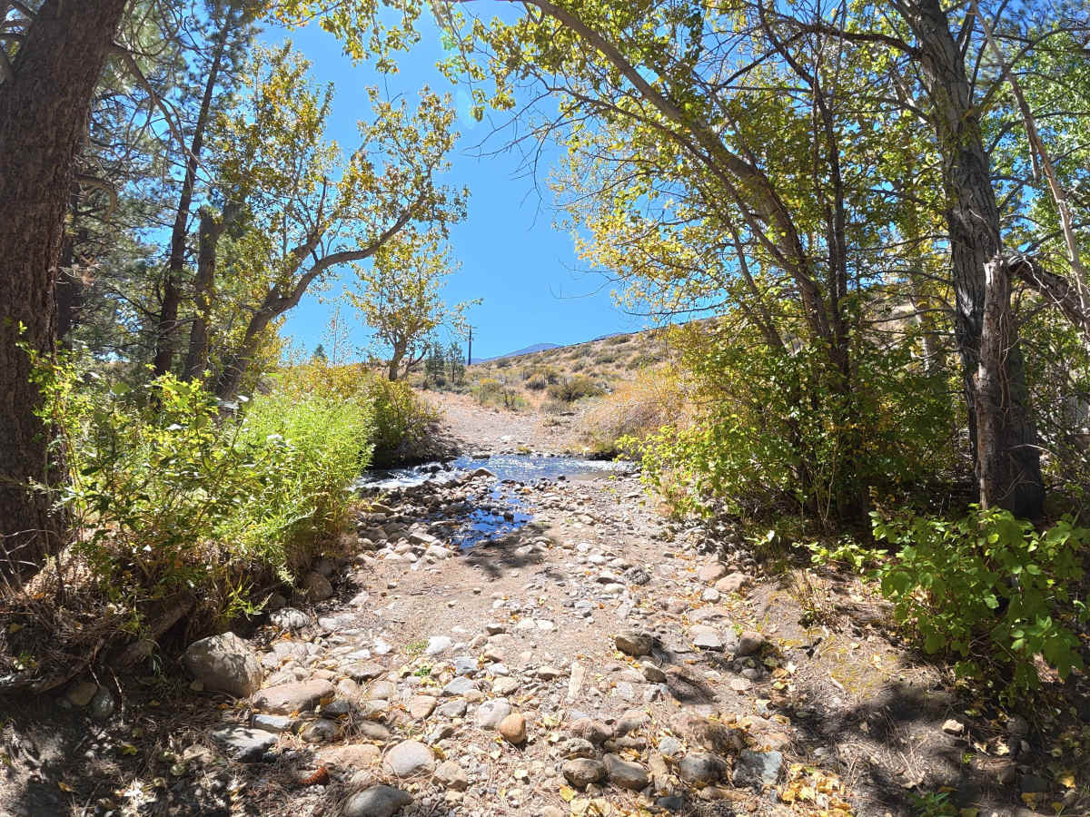 FS 2N105 trail photo