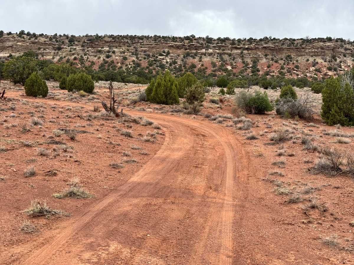 Uranium Mine trail photo