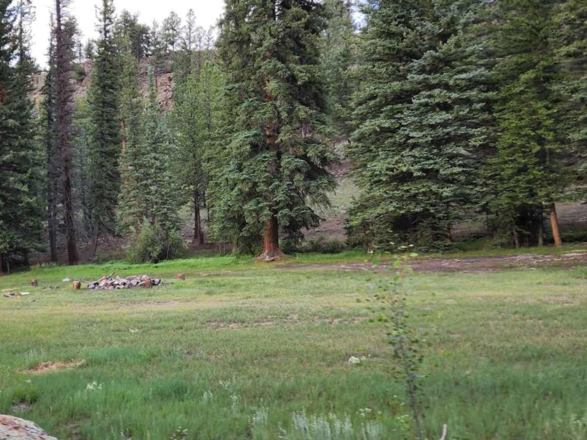 Big Springs photo 5