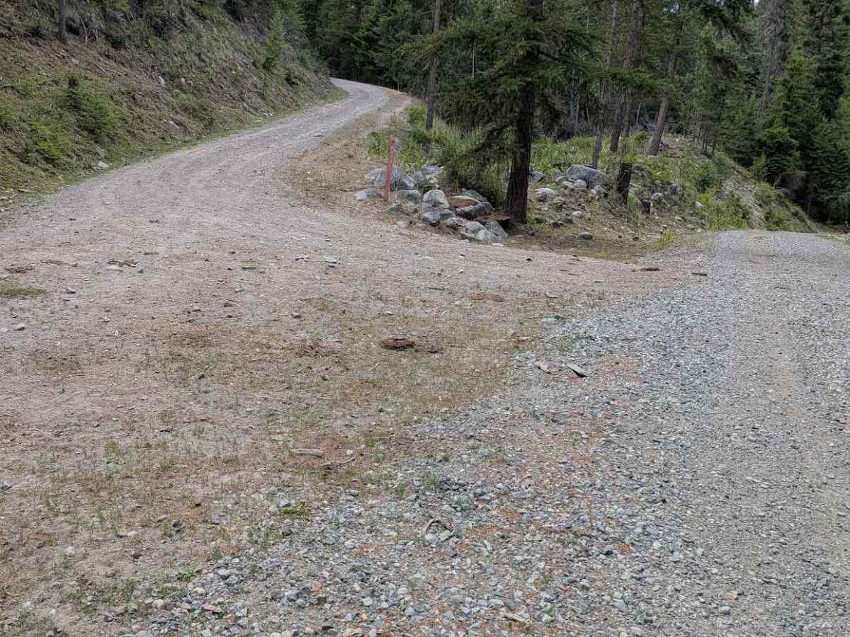 Twin Peaks Road photo 2