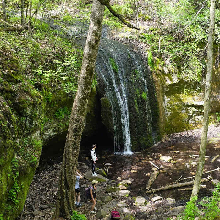 Near Stephens Falls Trail