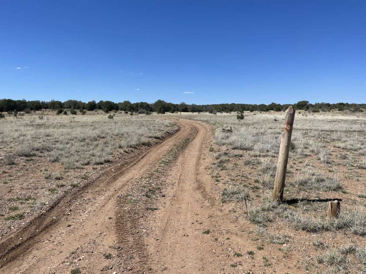 Pine Flat photo 2