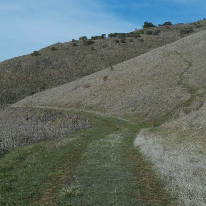 Near Alder Spring Trail