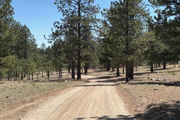 Eddy Creek Road