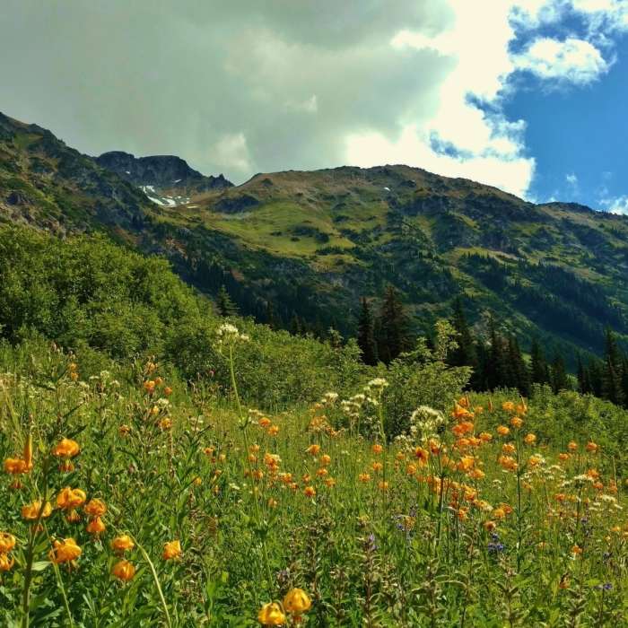 Near Fisher Creek Trail