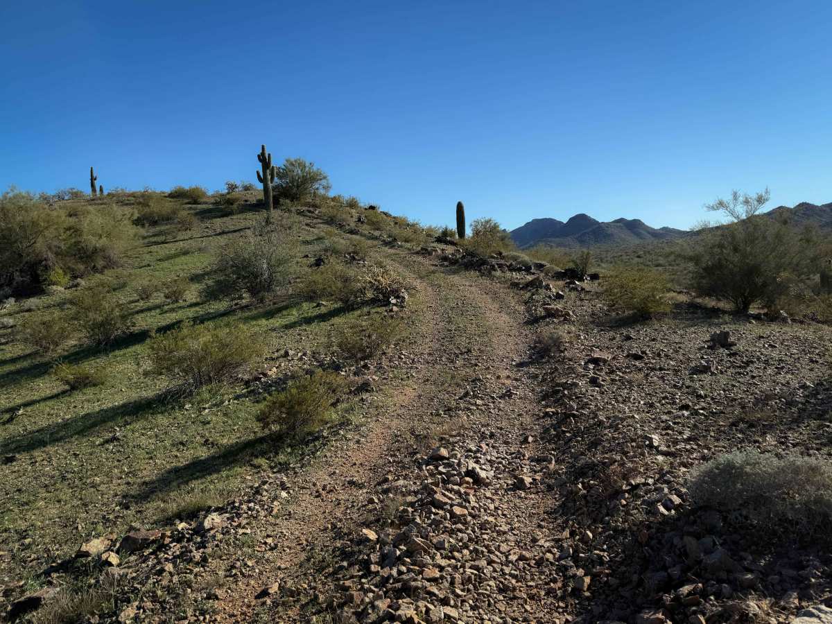 Saguaro Ridge  photo 6