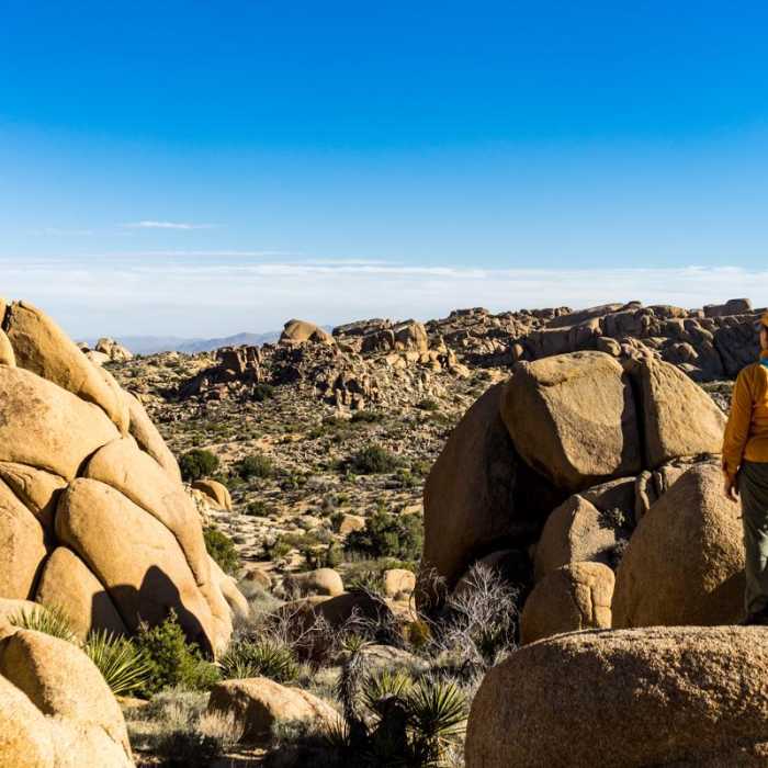 Near Split Rock Loop Hike