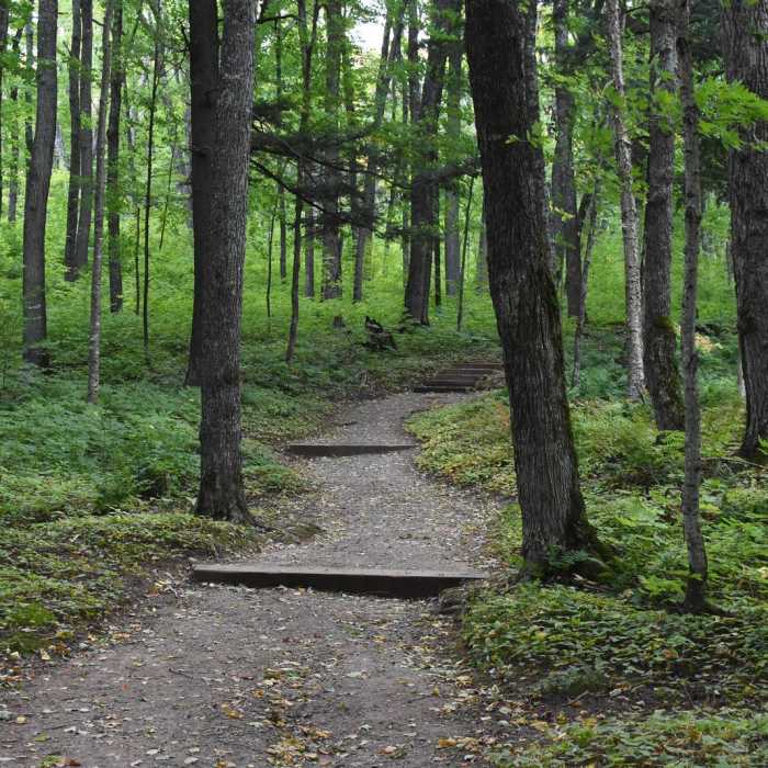 Near Great Conglomerate Falls