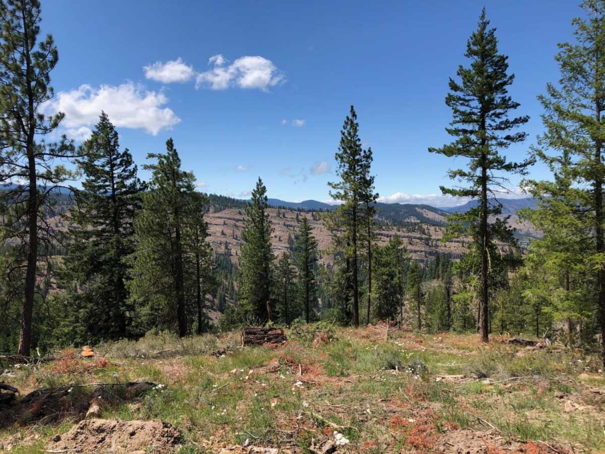 Meloy Canyon Road photo 2