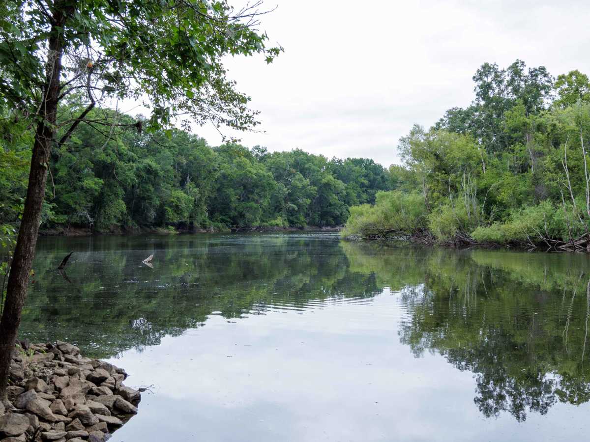 Savannah River Access photo 2